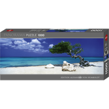 Divi Divi Tree