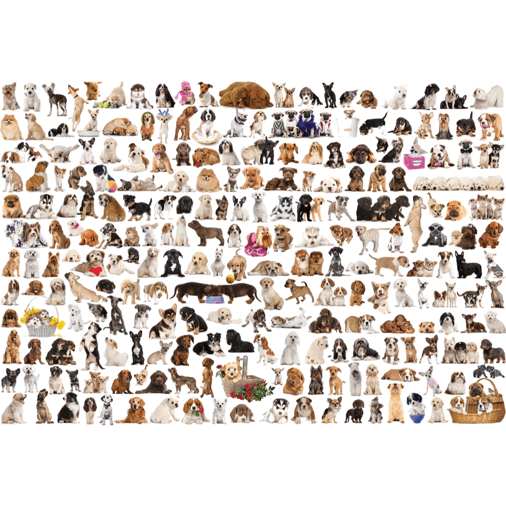 The World of Dogs jigsaw puzzle artwork