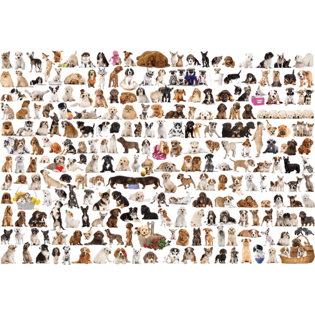 The World of Dogs jigsaw puzzle artwork