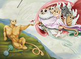 The Creation of Cat