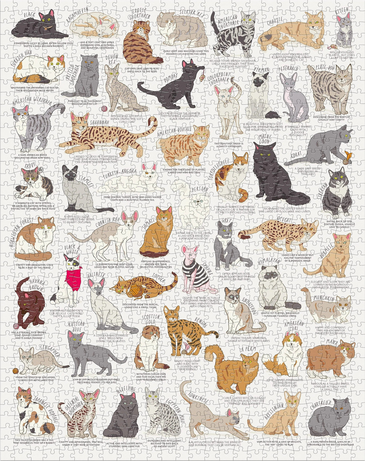 Cat Lover's
