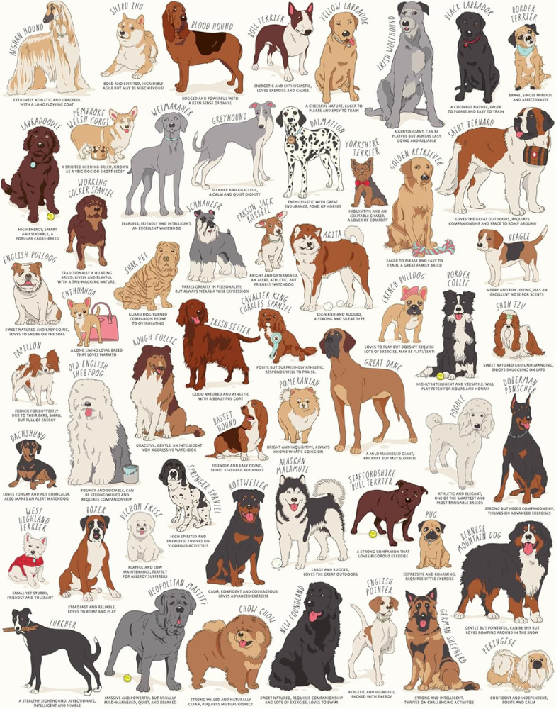 Dog Lover's