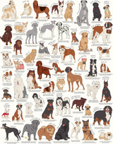 Dog Lover's