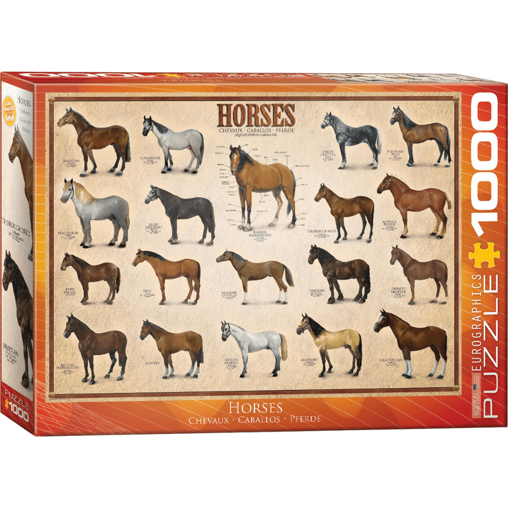 Horses
