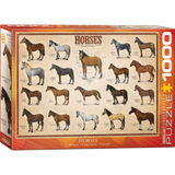 Horses