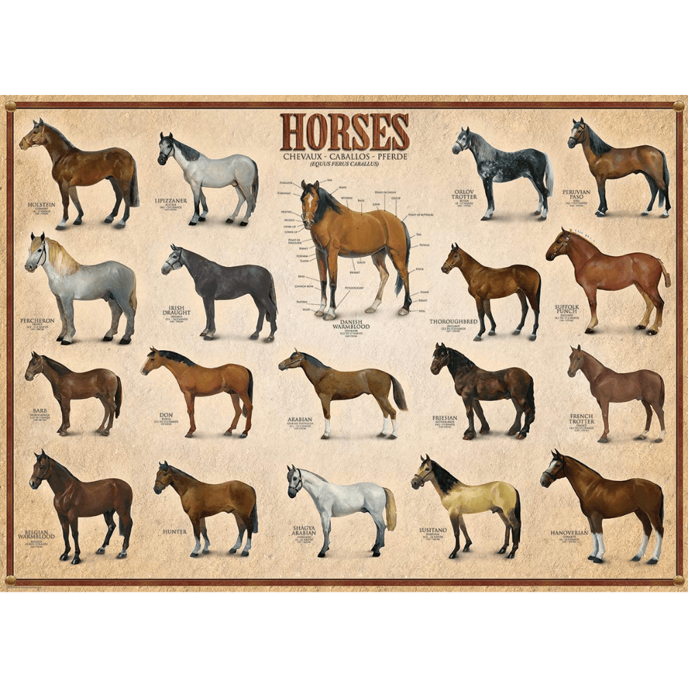 Horses