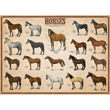 Horses