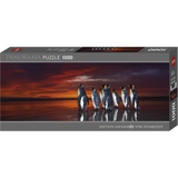 King Penguins box