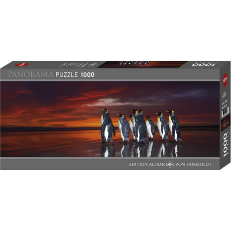 King Penguins box