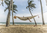 Beach Hammock