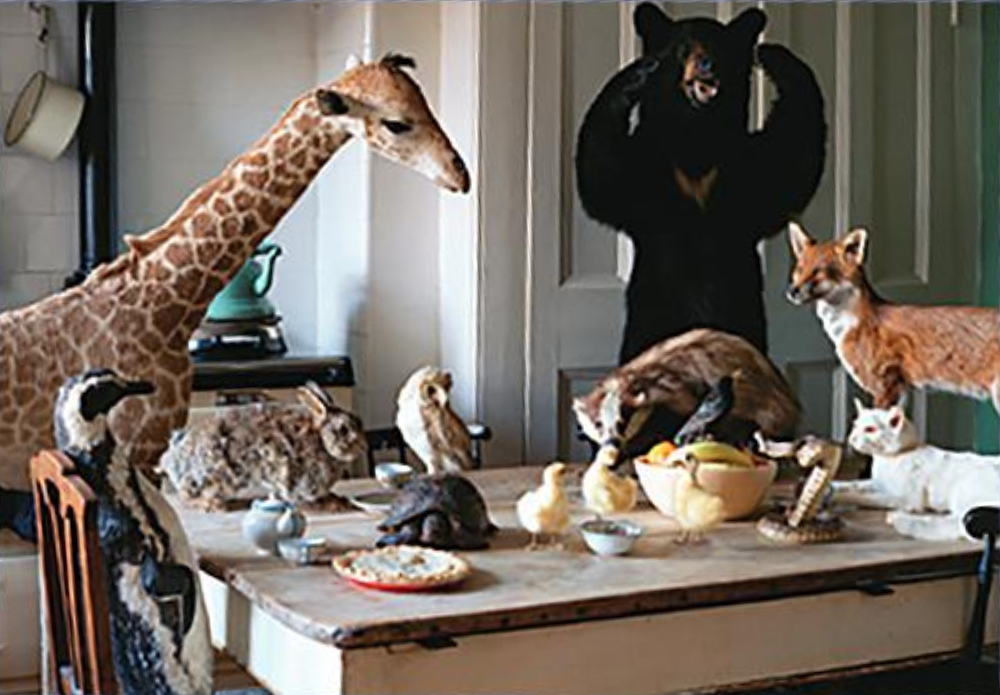 Kitchen Animals