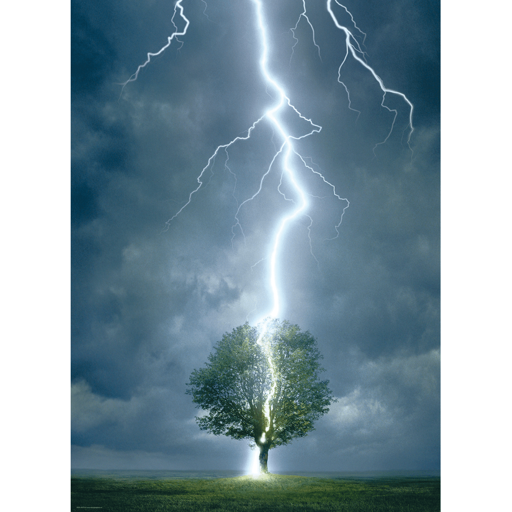 Lightning Striking Tree