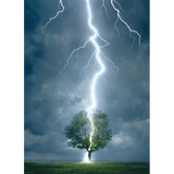 Lightning Striking Tree