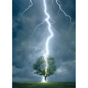 Lightning Striking Tree