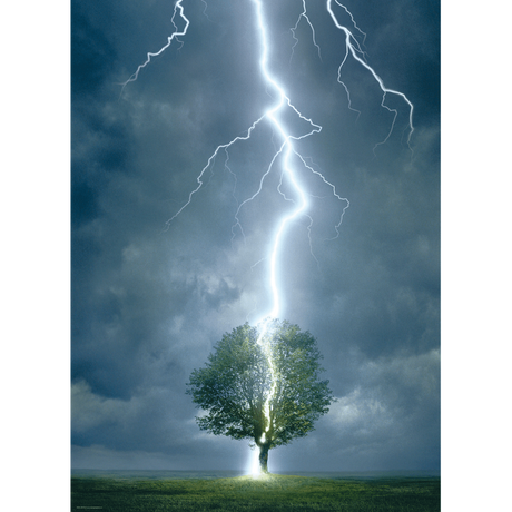 Lightning Striking Tree