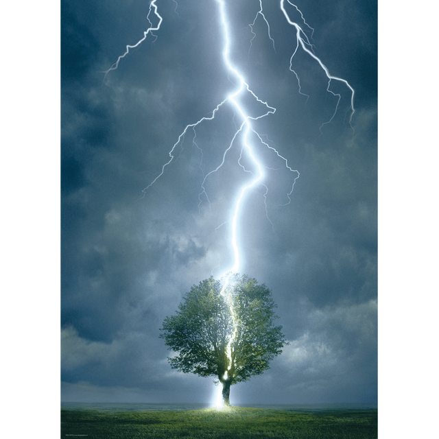 Lightning Striking Tree