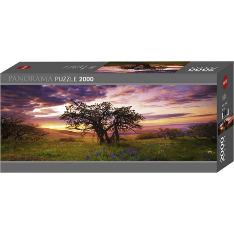 Oak tree box