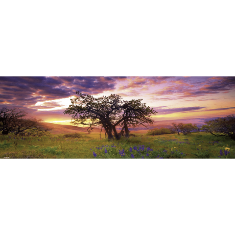 Oak tree