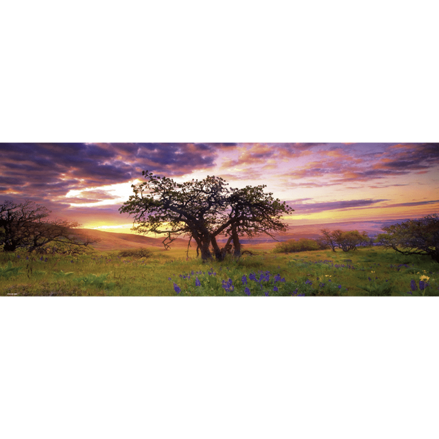 Oak tree