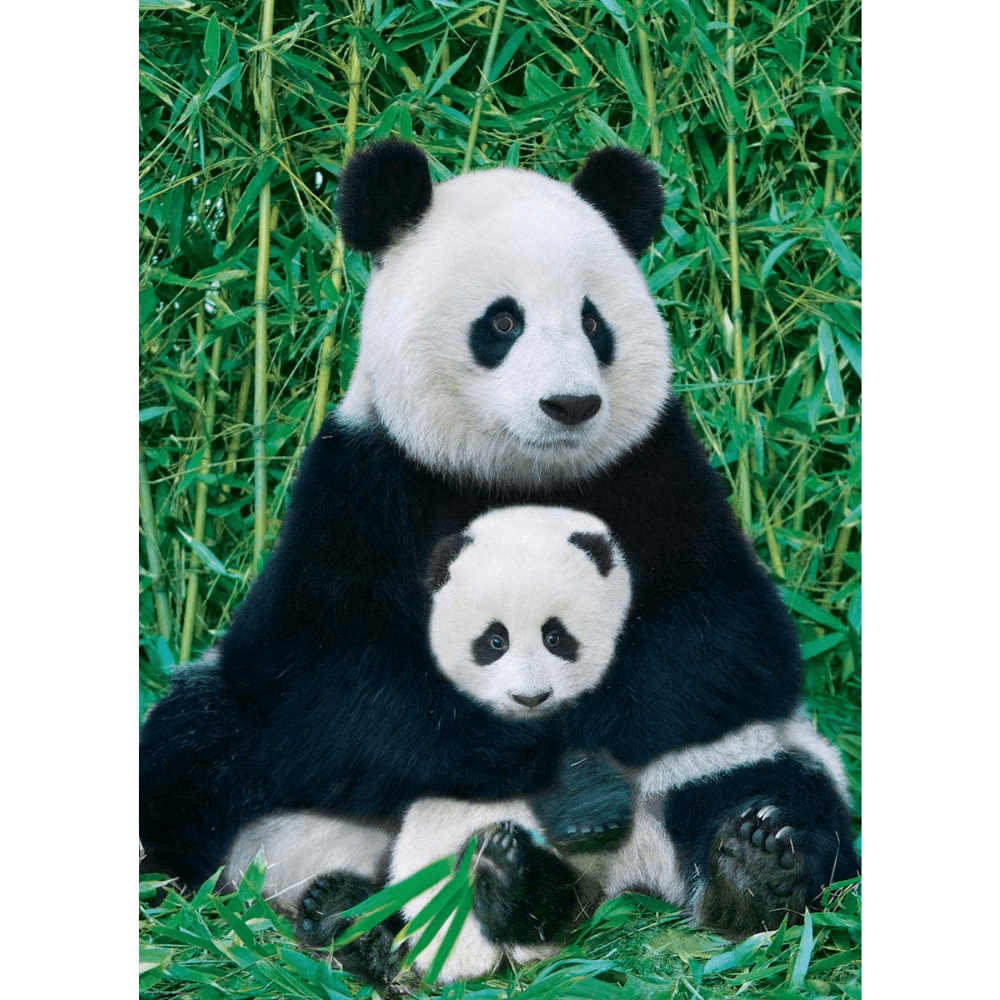 Panda & Baby