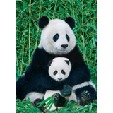 Panda & Baby