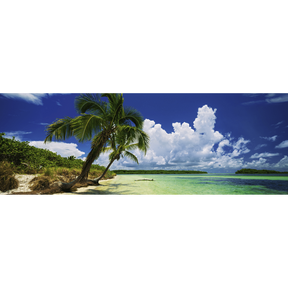 Paradise Palms