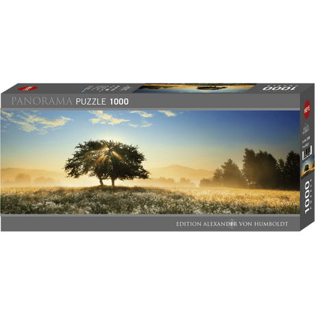 Play of Light box