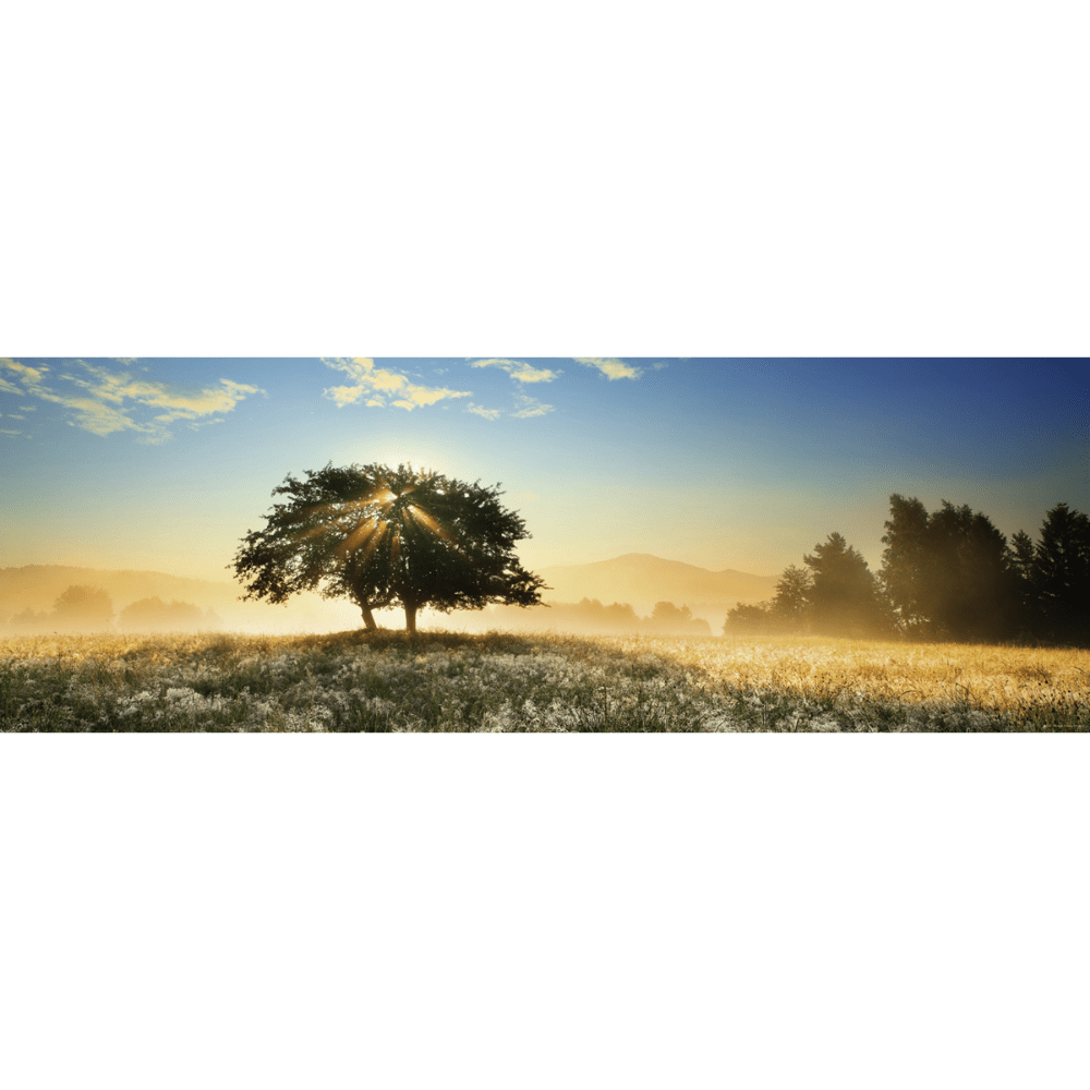 Play of Light