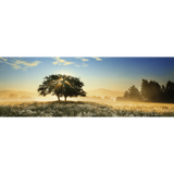 Play of Light