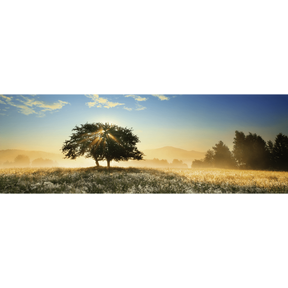 Play of Light
