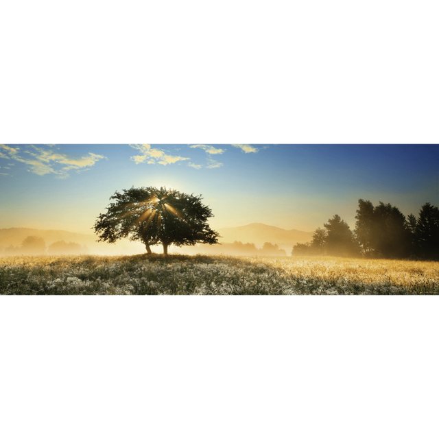Play of Light
