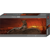 Red Dawn box