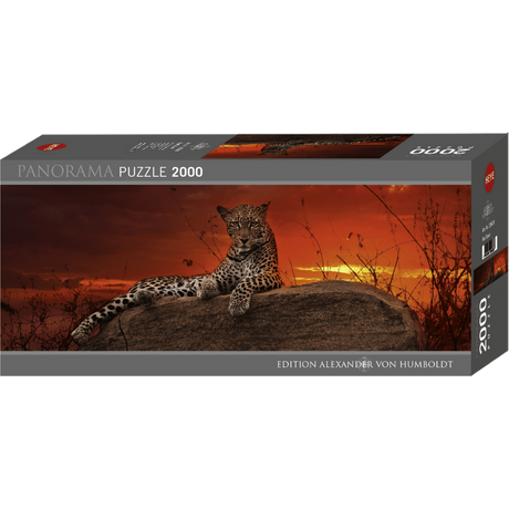 Red Dawn box
