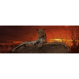 Red Dawn