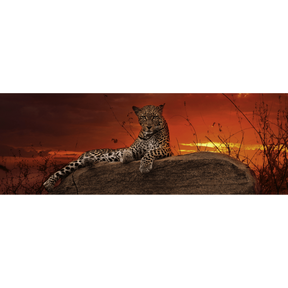 Red Dawn