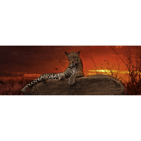 Red Dawn