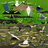 Charley Harper: The Everglades – puzzle artwork