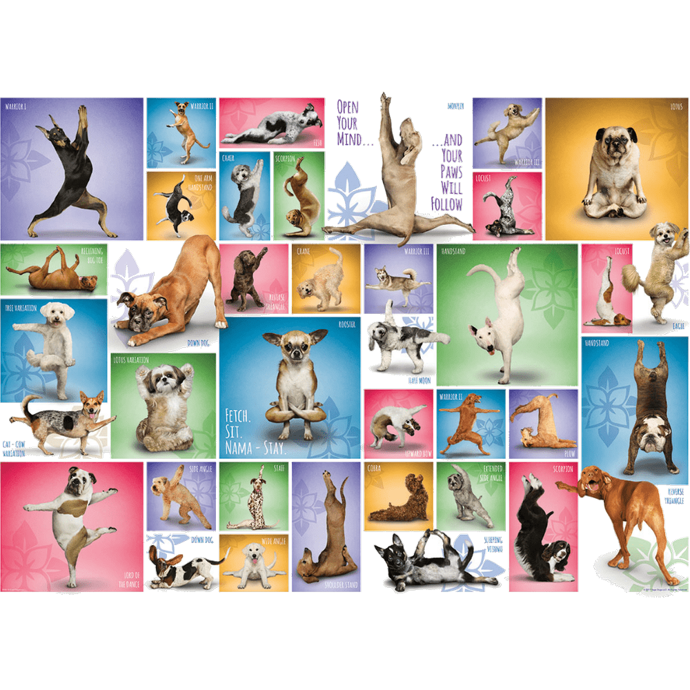 Yoga Dogs