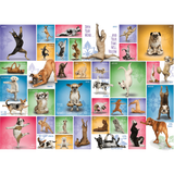 Yoga Dogs