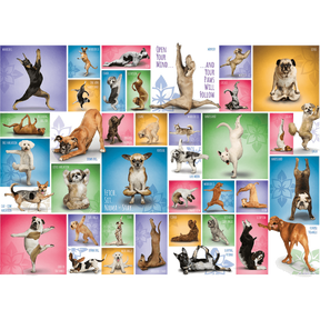 Yoga Dogs