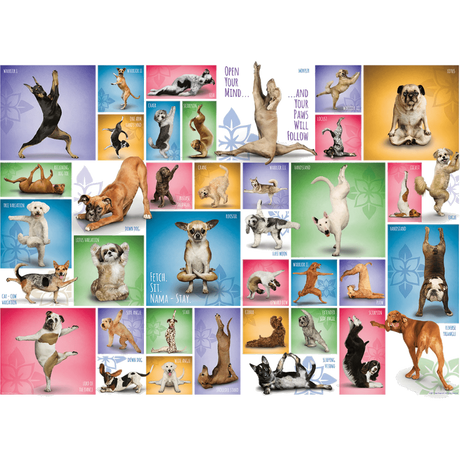 Yoga Dogs
