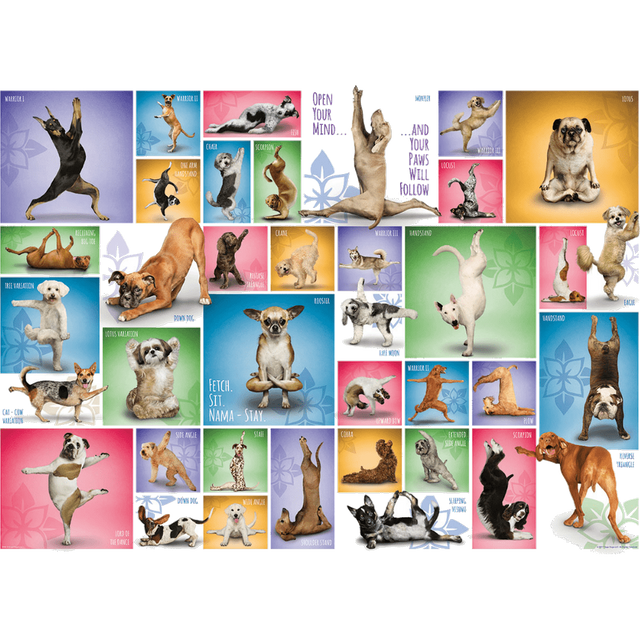 Yoga Dogs