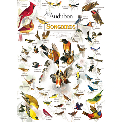 Audubon Songbirds