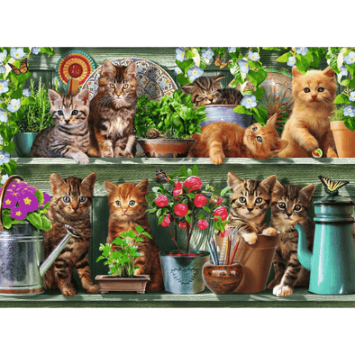 Cats on the Shelf (500 Pieces)