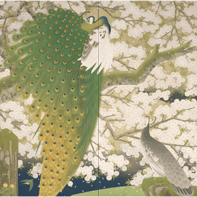 Imazu Tatsuyuki: Peacocks and Cherry Blossoms (1000 Pieces)