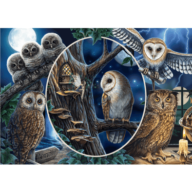 Lisa Parker: Mysterious Owls