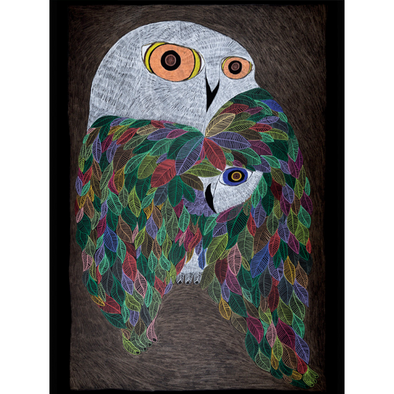 Ningeokuluk Teevee: Colourful Wild Owl
