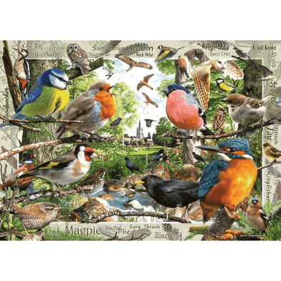 Our Feathered Friends (1000 Pieces)