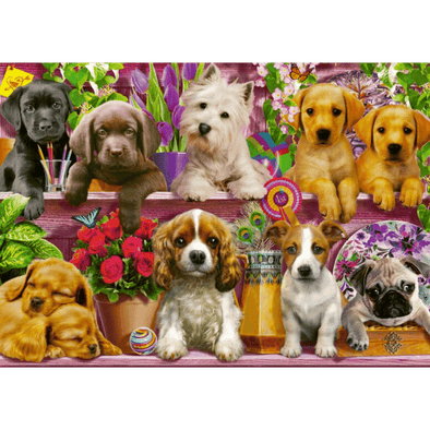 Puppies on the Shelf (500 Pieces)
