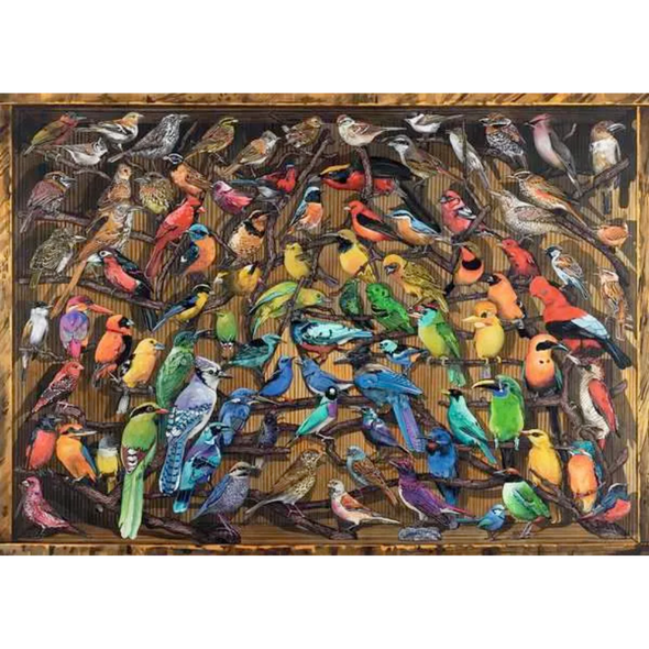 Rainbow of Birds (1000 Pieces)